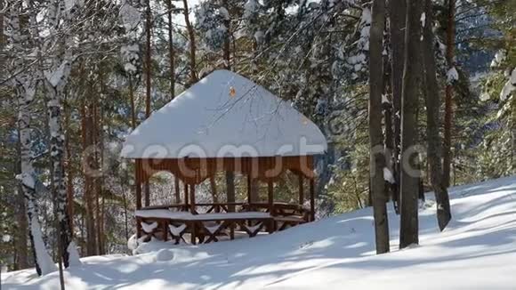 美丽的冬季景观与木制建筑在阳光明媚的霜天视频的预览图