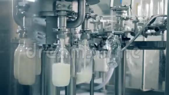 瓶装厂设备旋转输送机正在灌装和重新定位奶瓶视频的预览图