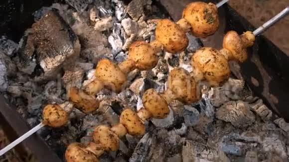 烤架上烤串的蘑菇野营视频的预览图