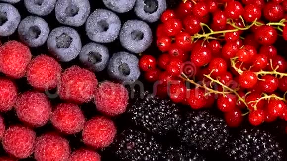 新鲜的覆盆子黑莓红醋栗和蓝莓视频的预览图