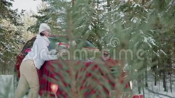 美丽的女人拿着圣诞礼物在雪地森林的红色汽车背景上近红色新年礼物的成年妇女视频的预览图