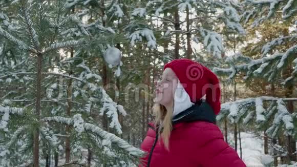 快乐的女孩触摸银球挂在冬天的森林新年树上少年少女玩装饰视频的预览图