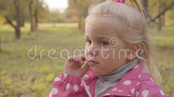 一个可爱的金发白种人婴儿站在秋天森林的特写肖像穿粉色衣服体贴的孩子视频的预览图