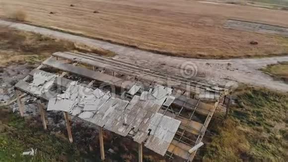 傍晚农场动物旧工业农场建筑的废墟视频的预览图
