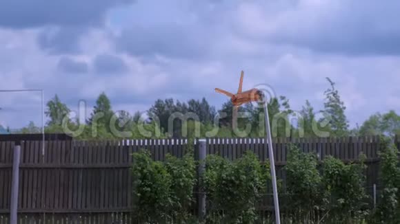 塑料瓶里的自制驱鸟器看起来像花园里的通风器视频的预览图