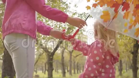 一个漂亮的金发婴儿和她的姐姐在秋天的森林里散步的特写镜头两个白种人姐妹穿着视频的预览图