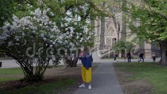 穿着蓝色超大毛衣和黄色长裙的可爱女孩漫步在春天的公园里在郁郁葱葱的白丁香灌木丛中视频的预览图