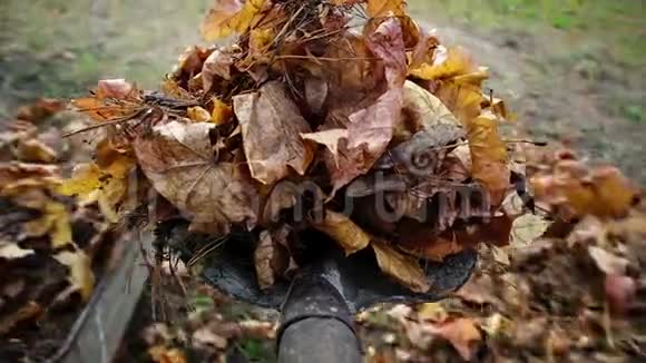 园丁用一把金属铲子从花园手推车里的一堆枯黄的树叶中捡起视频的预览图