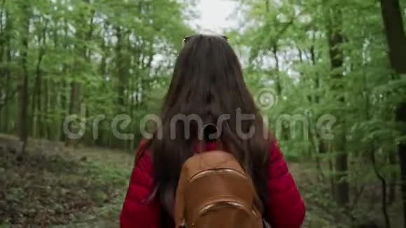 在一个阳光明媚的日子里一幅美丽的年轻旅游女孩的肖像背着背包穿过森林背景是视频的预览图