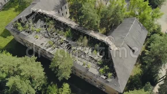 在一个废弃的房子周围屋顶倒塌了树木在结构中发芽视频的预览图
