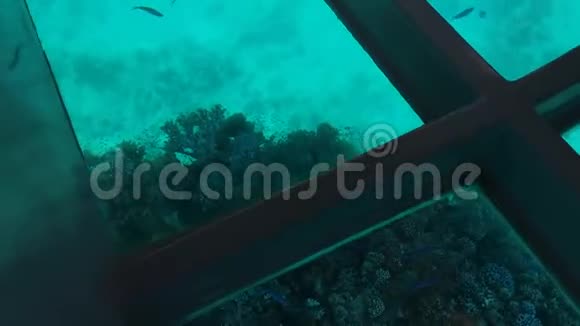 船游与清澈见底的五颜六色的鱼在珊瑚礁中游泳透过窗户观看金属框架15视频的预览图