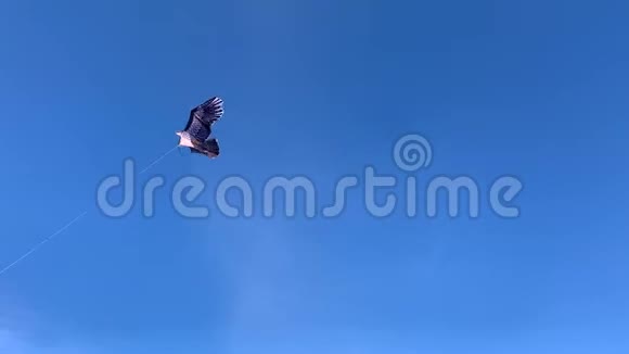 在风中以黑鹰的形式风筝视频的预览图