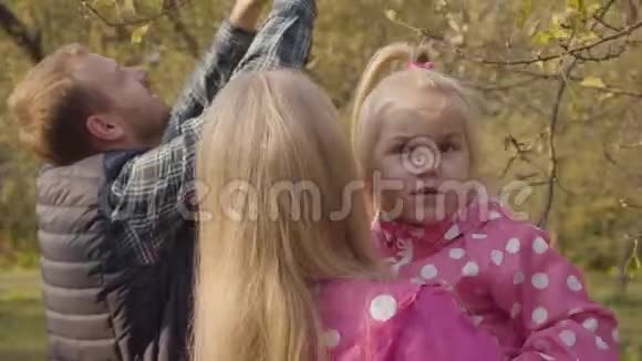 年轻的白种人为他的女儿用黄叶撕掉树枝秋天的欢乐家庭视频的预览图