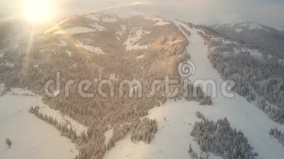 喀尔巴阡山美丽的树木和山脉是白色的覆盖着一只鸟在飞行中遇到的柔软雪视频的预览图