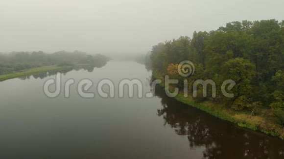 清晨朦胧的河流和树木倒映在水中神秘的自然视频的预览图