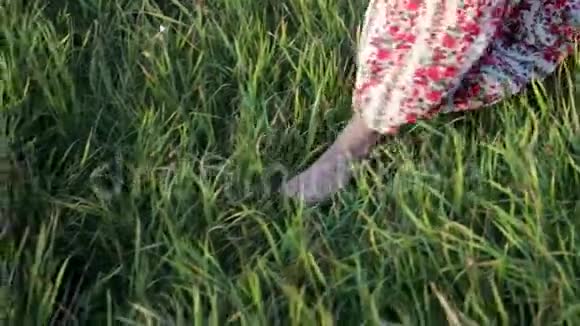 一个年轻的赤脚的女人穿着一件花裙子穿过一片绿草如茵高大的草地慢动作视频的预览图
