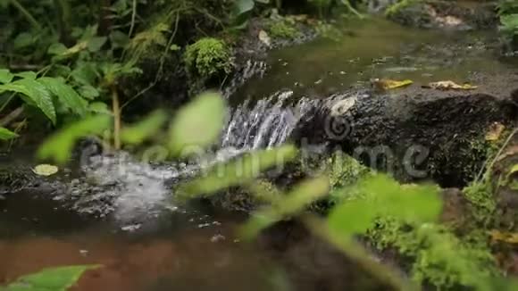 森林溪流流过苔藓的岩石夏日绿林中的小河瀑布视频的预览图