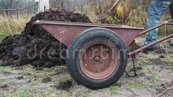 一个农夫在他的花园里的春耕中用粪肥填满一辆手推车施肥视频的预览图