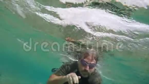 潜水员带着热带鱼沿着珊瑚礁游泳视频的预览图