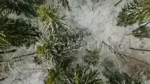 阳光明媚的一天在大雪纷飞的冬季森林树冠上的空中景色视频的预览图