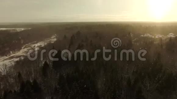 阳光明媚的一天在大雪纷飞的冬季森林树冠上的空中景色视频的预览图