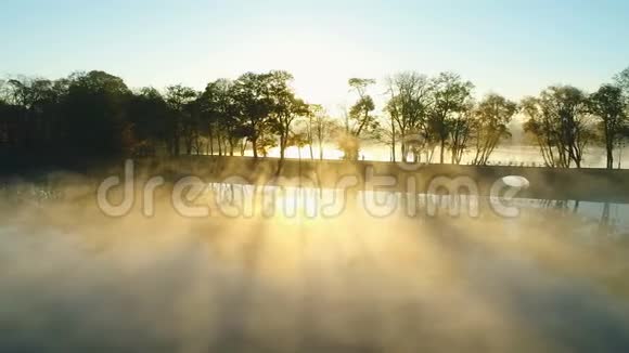 雾状日出湖边公园小巷视频的预览图