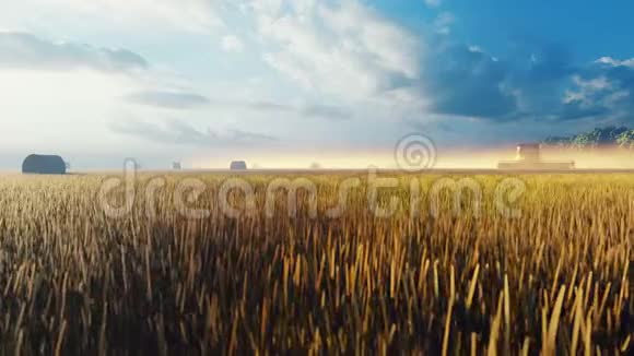 一大早就在野外工作夏季用联合收割机收割小麦的概念视频的预览图