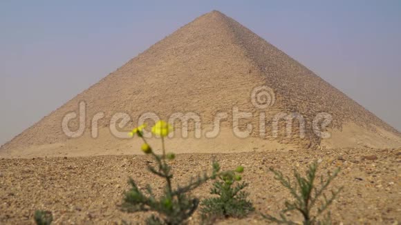 红色金字塔红金字塔又称北金字塔是位于视频的预览图