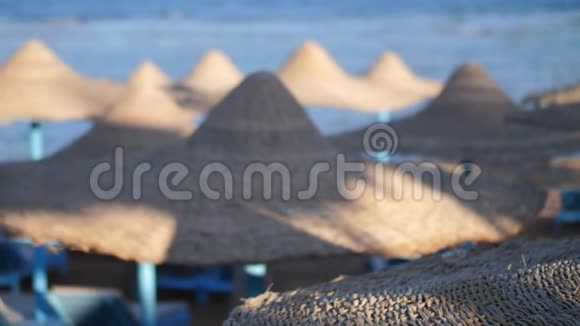 埃及海滩与伞在红海附近的珊瑚礁红海海岸度假村落基海滩在海湾海岸线视频的预览图
