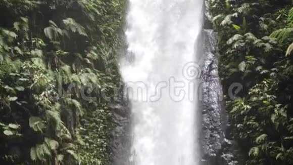 全景拍摄的热带雨林瀑布有绿色植物水溅视频的预览图