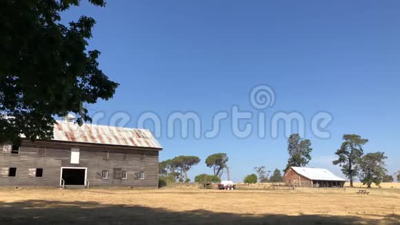 塔斯马尼亚农村的农村景象视频的预览图