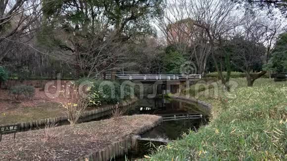 日本公园东京景观视频的预览图