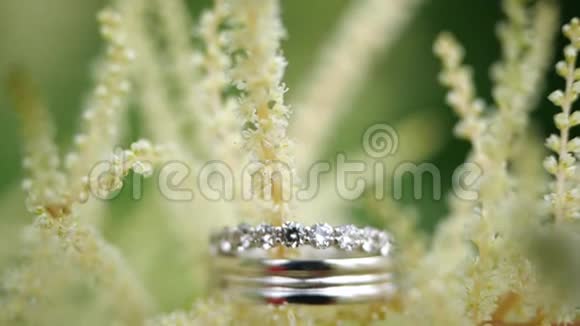 一朵美丽的花上躺着银色的结婚戒指夫妻婚礼快乐一对漂亮的视频的预览图