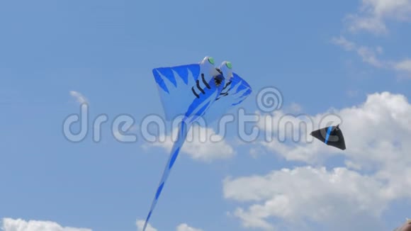 星型风筝和两个双风筝视频的预览图