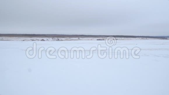 冬日阴天雪场的全景视频的预览图