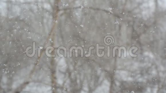 窗外下雪窗户玻璃上的雪视频的预览图