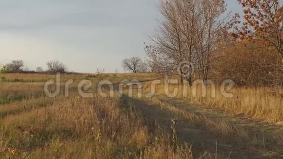 秋日的乡村道路多云的天空视频的预览图