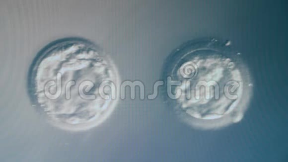 体外受精的概念实验室医学显微镜下的细胞视频的预览图