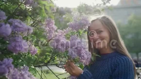 美丽的阳光明媚的一天在春天的公园里在开花的紫丁香灌木旁摆姿势拍照中镜头视频的预览图