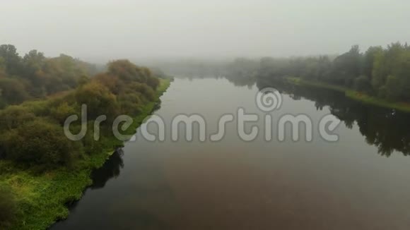 一条雾蒙蒙的河流的空中景观在丛林中的绿树映在水中视频的预览图