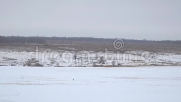 冬日阴天雪场的全景视频的预览图