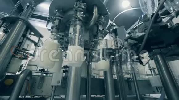 瓶子被新鲜牛奶机械地填满了用牛奶灌装瓶子的自动化过程视频的预览图