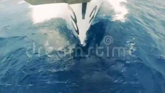 横渡水域的帆船的正面景色游艇在海上航行视频的预览图