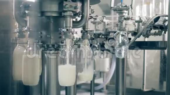 旋转传送器正在将新鲜牛奶倒入瓶子中用牛奶灌装瓶子的自动化过程视频的预览图
