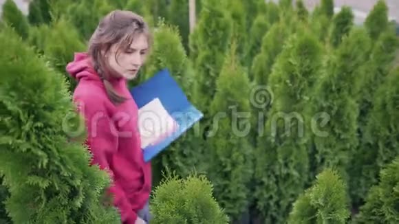 控制针叶苗木的生产和栽培年轻的女商人检查她的品质视频的预览图