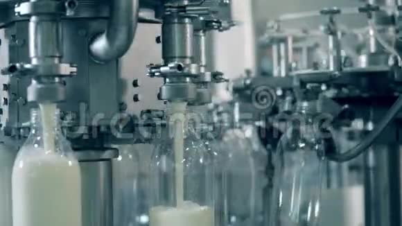 机械运输车把牛奶倒进透明的瓶子里视频的预览图