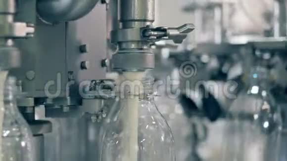 工厂运输员用巴氏杀菌奶灌装瓶子视频的预览图