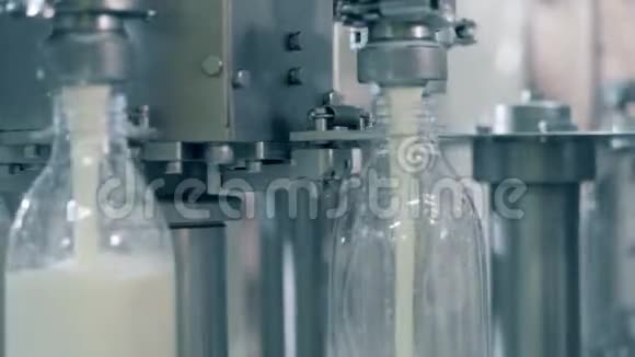 工厂输送机正在用牛奶旋转和灌装瓶子用牛奶灌装瓶子的自动化过程视频的预览图