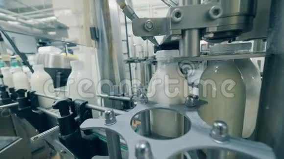 装有牛奶的瓶子正被机械地捆住用牛奶灌装瓶子的自动化过程视频的预览图