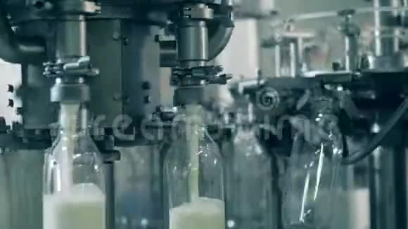 新鲜牛奶正通过工厂的输送机灌进瓶里视频的预览图